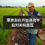 惠普涨价并加速离华,应对关税重压(图3) 惠普涨价并加速离华,应对关税重压(图3)