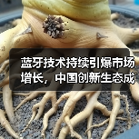 蓝牙技术持续引爆市场增长，中国创新生态成核心引擎（图2）