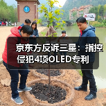 京东方反诉三星:指控侵犯4项OLED专利(图3) 京东方反诉三星:指控侵犯4项OLED专利(图3)