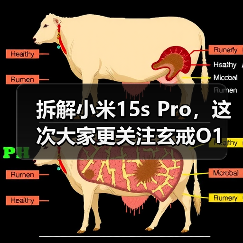 拆解小米15s Pro，这次大家更关注玄戒O1（图3）