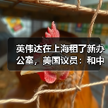 英伟达在上海租了新办公室,美国议员:和中国太亲密(图3) 英伟达在上海租了新办公室,美国议员:和中国太亲密(图3)