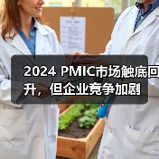 2024 PMIC市场触底回升，但企业竞争加剧（图1）