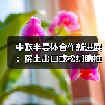 中欧半导体合作新进展：稀土出口或松绑助推供应链稳定（图1）