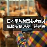 日本采购美国芯片削减巨额贸易逆差:谈判筹码还是战略布局?(图1) 日本采购美国芯片削减巨额贸易逆差:谈判筹码还是战略布局?(图1)