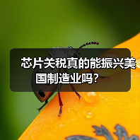 芯片关税真的能振兴美国制造业吗?(图3) 芯片关税真的能振兴美国制造业吗?(图3)