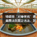 特朗普“对等关税”遭美国法院裁定违法,背后原因揭秘(图2) 特朗普“对等关税”遭美国法院裁定违法,背后原因揭秘(图2)