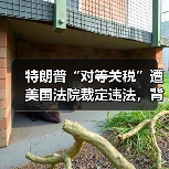 特朗普“对等关税”遭美国法院裁定违法,背后原因揭秘(图1) 特朗普“对等关税”遭美国法院裁定违法,背后原因揭秘(图1)