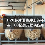 H20芯片限售冲击英伟达,80亿美元损失敲响警钟(图2) H20芯片限售冲击英伟达,80亿美元损失敲响警钟(图2)