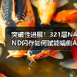 突破性进展!321层NAND闪存如何赋能端侧AI优化?(图4) 突破性进展!321层NAND闪存如何赋能端侧AI优化?(图4)