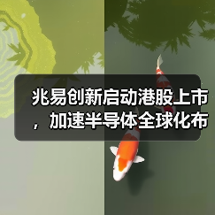 兆易创新启动港股上市,加速半导体全球化布局(图4) 兆易创新启动港股上市,加速半导体全球化布局(图4)