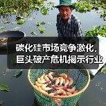 碳化硅市场竞争激化,巨头破产危机揭示行业暗礁(图1) 碳化硅市场竞争激化,巨头破产危机揭示行业暗礁(图1)