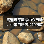 高通进军数据中心市场，小米自研芯片如何应对？（图4）