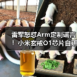 雷军怒怼Arm定制谣言!小米玄戒O1芯片自研真相曝光(图2) 雷军怒怼Arm定制谣言!小米玄戒O1芯片自研真相曝光(图2)