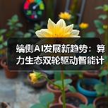 端侧AI发展新趋势:算力生态双轮驱动智能计算未来(图3) 端侧AI发展新趋势:算力生态双轮驱动智能计算未来(图3)