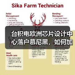 台积电欧洲芯片设计中心落户慕尼黑,如何加速欧洲半导体供应链升级(图4) 台积电欧洲芯片设计中心落户慕尼黑,如何加速欧洲半导体供应链升级(图4)