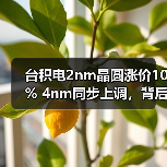 台积电2nm晶圆涨价10% 4nm同步上调,背后原因曝光(图3) 台积电2nm晶圆涨价10% 4nm同步上调,背后原因曝光(图3)