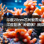 印度28nm芯片能否成