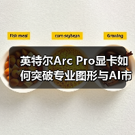 英特尔Arc Pro显卡如何突破专业图形与AI市场?(图4) 英特尔Arc Pro显卡如何突破专业图形与AI市场?(图4)