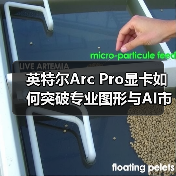 英特尔Arc Pro显卡如何突破专业图形与AI市场?(图2) 英特尔Arc Pro显卡如何突破专业图形与AI市场?(图2)