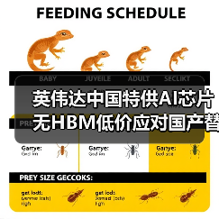 英伟达中国特供AI芯片无HBM低价应对国产替代挑战(图1) 英伟达中国特供AI芯片无HBM低价应对国产替代挑战(图1)
