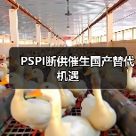 PSPI断供催生国产替代机遇(图3) PSPI断供催生国产替代机遇(图3)