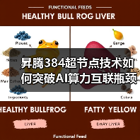 昇腾384超节点技术如何突破AI算力互联瓶颈?(图4) 昇腾384超节点技术如何突破AI算力互联瓶颈?(图4)