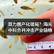 算力国产化破局?海光中科合并冲击产业链格局(图3) 算力国产化破局?海光中科合并冲击产业链格局(图3)