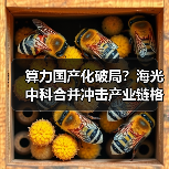 算力国产化破局?海光中科合并冲击产业链格局(图4) 算力国产化破局?海光中科合并冲击产业链格局(图4)