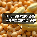 iPhone承担25%关税比迁回美国更优?分析师解析(图3) iPhone承担25%关税比迁回美国更优?分析师解析(图3)