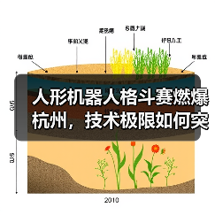 人形机器人格斗赛燃爆杭州,技术极限如何突破?(图1) 人形机器人格斗赛燃爆杭州,技术极限如何突破?(图1)