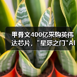 甲骨文400亿采购英伟达芯片, 甲骨文400亿采购英伟达芯片,