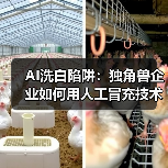 AI洗白陷阱:独角兽企业如何用人工冒充技术?(图4) AI洗白陷阱:独角兽企业如何用人工冒充技术?(图4)
