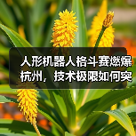人形机器人格斗赛燃爆杭州,技术极限如何突破?(图3) 人形机器人格斗赛燃爆杭州,技术极限如何突破?(图3)