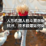 人形机器人格斗赛燃爆杭州,技术极限如何突破?(图2) 人形机器人格斗赛燃爆杭州,技术极限如何突破?(图2)