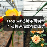 Hopper芯片不再供华?英伟达后续布局曝光(图4) Hopper芯片不再供华?英伟达后续布局曝光(图4)