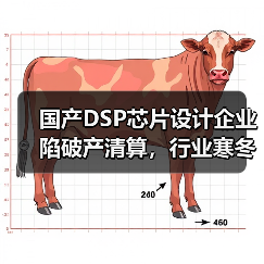 国产DSP芯片设计企业陷破产清算,行业寒冬为何频现?(图1) 国产DSP芯片设计企业陷破产清算,行业寒冬为何频现?(图1)
