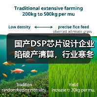 国产DSP芯片设计企业陷破产清算,行业寒冬为何频现?(图2) 国产DSP芯片设计企业陷破产清算,行业寒冬为何频现?(图2)