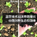 蓝牙技术加速市场增长,中国创新生态引领未来(图2) 蓝牙技术加速市场增长,中国创新生态引领未来(图2)