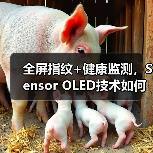 全屏指纹+健康监测,Sensor OLED技术如何改变手机体验?(图2) 全屏指纹+健康监测,Sensor OLED技术如何改变手机体验?(图2)
