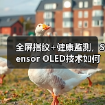 全屏指纹+健康监测,Sensor OLED技术如何改变手机体验?(图3) 全屏指纹+健康监测,Sensor OLED技术如何改变手机体验?(图3)