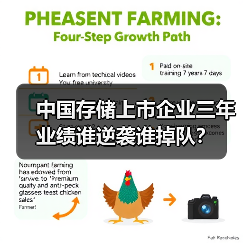 中国存储上市企业三年业绩谁逆袭谁掉队?(图4) 中国存储上市企业三年业绩谁逆袭谁掉队?(图4)