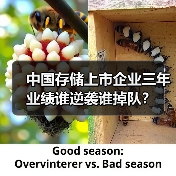 中国存储上市企业三年业绩谁逆袭谁掉队?(图2) 中国存储上市企业三年业绩谁逆袭谁掉队?(图2)