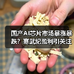国产AI芯片市场暴涨暴跌？寒武纪盈利引关注（图1）