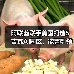 阿联酋联手美国打造5吉瓦AI园区，能否引领中东硅谷？（图4）