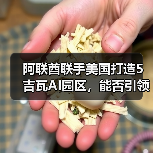 阿联酋联手美国打造5吉瓦AI园区，能否引领中东硅谷？（图3）