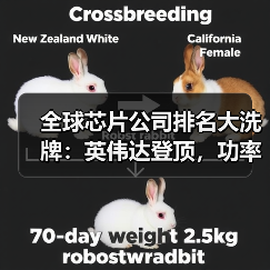 全球芯片公司排名大洗牌:英伟达登顶,功率巨头跌出前十(图1) 全球芯片公司排名大洗牌:英伟达登顶,功率巨头跌出前十(图1)