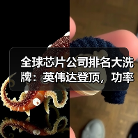 全球芯片公司排名大洗牌:英伟达登顶,功率巨头跌出前十(图3) 全球芯片公司排名大洗牌:英伟达登顶,功率巨头跌出前十(图3)