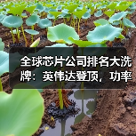 全球芯片公司排名大洗牌:英伟达登顶,功率巨头跌出前十(图2) 全球芯片公司排名大洗牌:英伟达登顶,功率巨头跌出前十(图2)