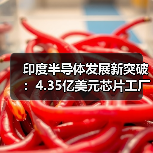 印度半导体发展新突破:4.35亿美元芯片工厂项目获批(图2) 印度半导体发展新突破:4.35亿美元芯片工厂项目获批(图2)