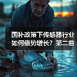 国补政策下传感器行业如何借势增长?第二曲线待寻(图1) 国补政策下传感器行业如何借势增长?第二曲线待寻(图1)